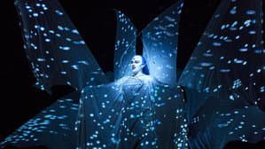 The Magic Flute — foto 1