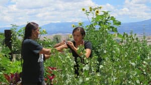 Return: Native American Women Reclaim Foodways for Health & Spirit — foto 2