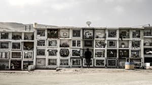 Arica — foto 1