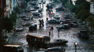 Day After Disaster — foto 1