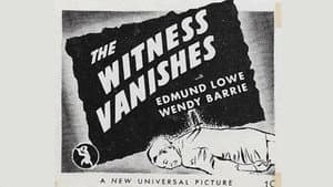 The Witness Vanishes — foto 8