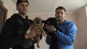 犬と戦争: ウクライナで私が見たこと — foto 2