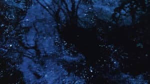 River Film — foto 1