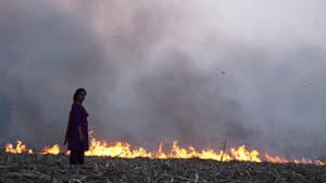बिटर स्वीट — foto 3