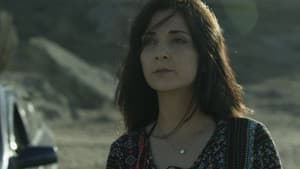 Dəniz suyu içən it — foto 1