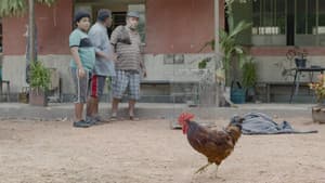Episodio 5