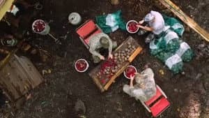 Episodio 12