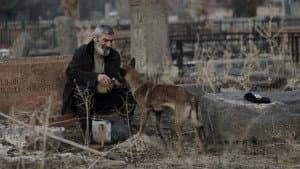 Հիմնավոր մաքրություն — foto 4