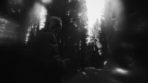 Noi — foto 1
