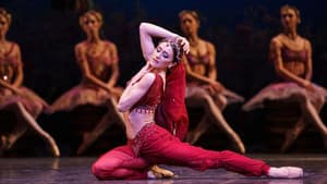La Bayadère (Royal Ballet) — foto 2