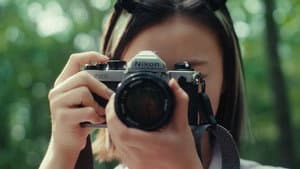 여름의 카메라 — foto 9