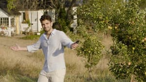 The Orchard — foto 2