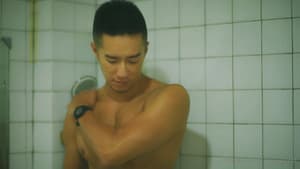 骗 — foto 2