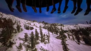 Soarin' Over California — foto 4