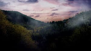 Neverwas — foto 5