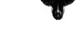 The Exorcists — foto 3
