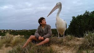 Storm Boy — foto 10