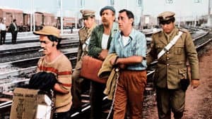 Detenuto in attesa di giudizio — foto 4