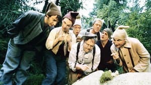 7 Zwerge - Männer allein im Wald — foto 6