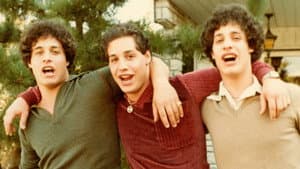 Tres Idénticos Desconocidos — foto 3