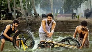 ఆయ్ — foto 4