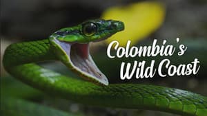 Colombia's Wild Coast — foto 1