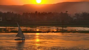 Wild Nile — foto 1