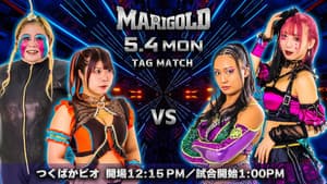 Marigold Shining Attack 2026 ~ Day 2 — foto 4
