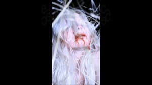 White Epilepsy — foto 2