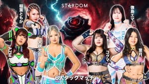 STARDOM GW TOUR 2026 in FUKUYAMA — foto 4