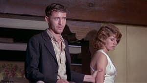 The Grissom Gang — foto 8