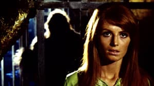 Eva, la Venere selvaggia — foto 1