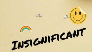 Insignificant — foto 2