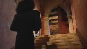 Confessioni erotiche di una moglie infedele — foto 1