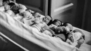 Fratelli di culla — foto 1