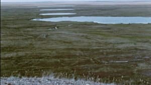 Netsilik Eskimo, II: At the Caribou Crossing Place — foto 2