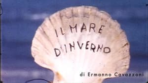 Formato ridotto - Libere riscritture del cinema amatoriale — foto 1