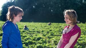 Strawberry Fields — foto 3
