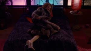 Pelts — foto 1