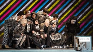 Il barbiere di Siviglia — foto 5