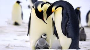 Penguins: Spy in the Huddle — foto 1