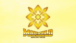 マリーゴールド — foto 2
