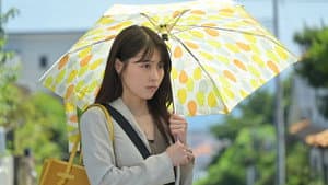 石子と羽男 ―そんなコトで訴えます?― — foto 5