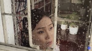 Biến mất ở Thư Viên — foto 1