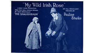 My Wild Irish Rose — foto 1