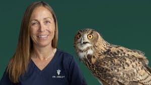 Dr. Oakley, Yukon Vet — foto 12