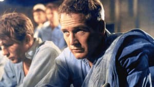 La leyenda de Paul Newman — foto 2