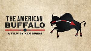 The American Buffalo — foto 1