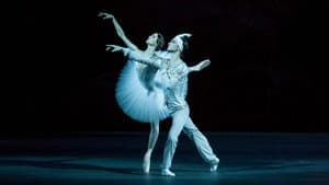 Bolshoi Ballet: La Bayadère — foto 1