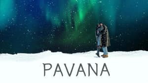 Pavana — foto 12